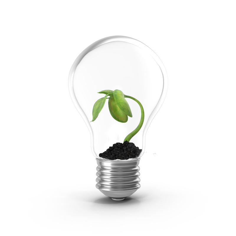 Lampadina Smart