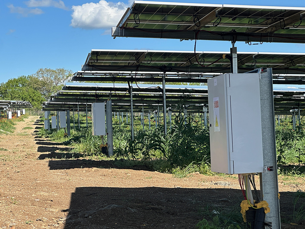 Pannelli Fotovoltaici Green Terrae