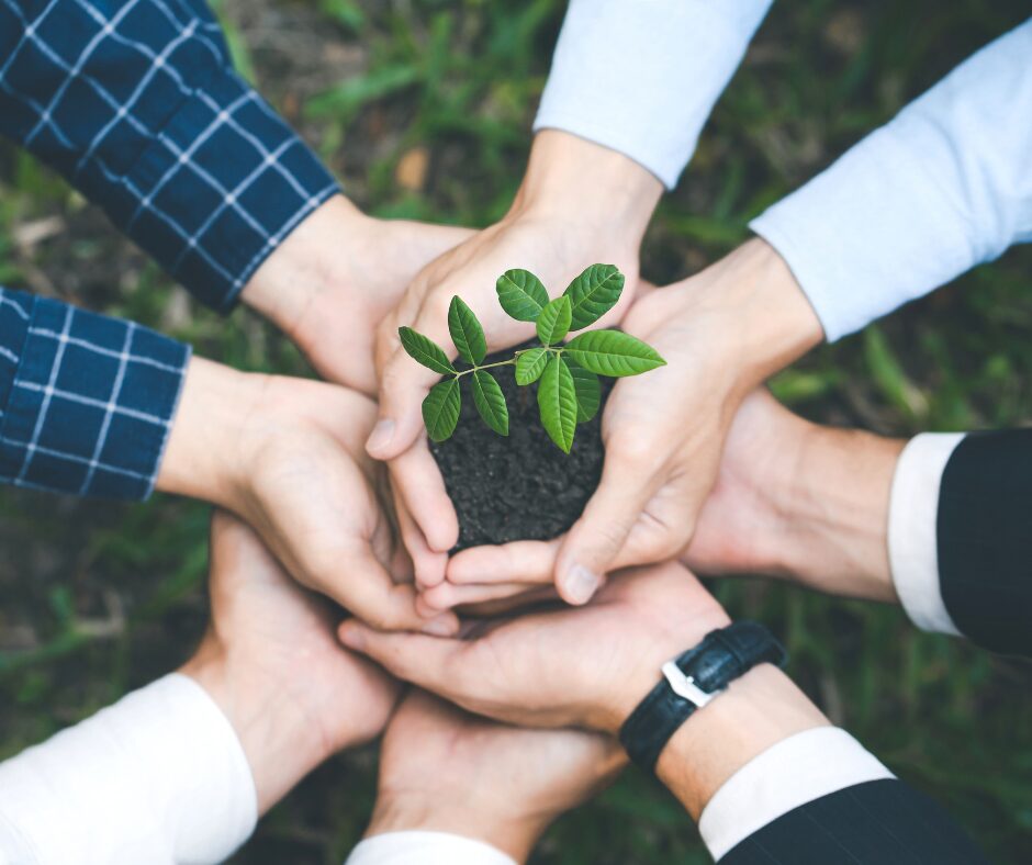 comunità energetiche